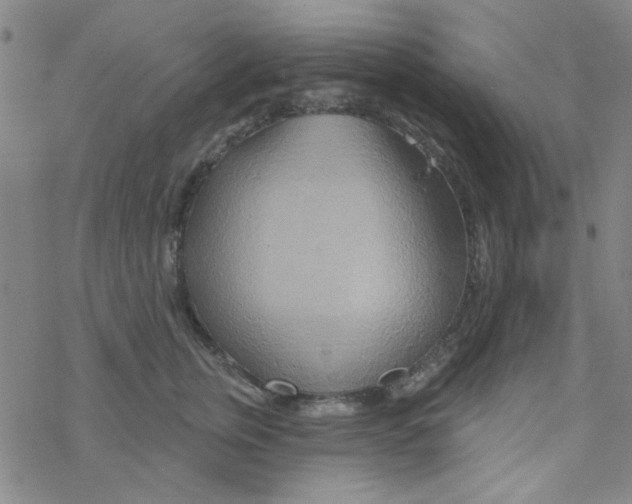 X0000068320759200605192033