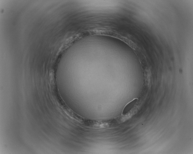 X0000068320760200605192033