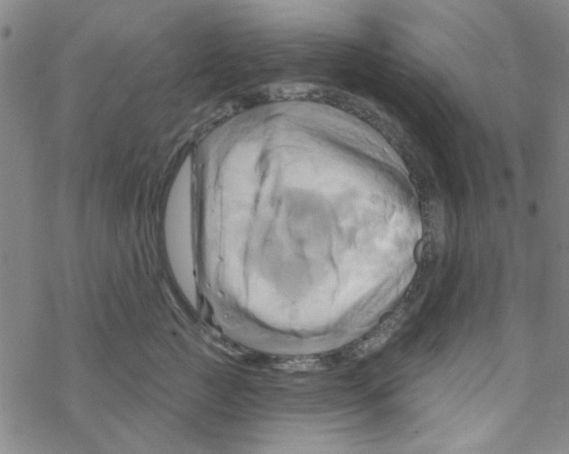 X0000068320761200605192033