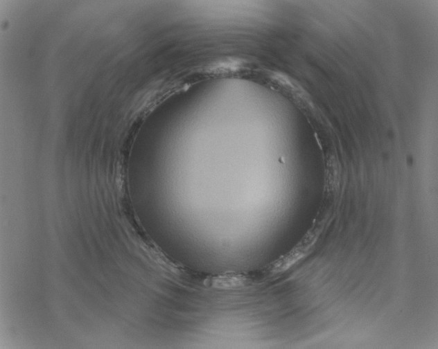 X0000068320762200605192033