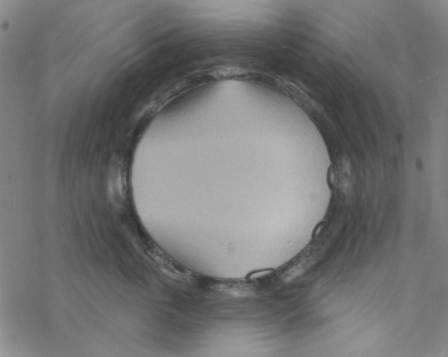 X0000068320763200605192033