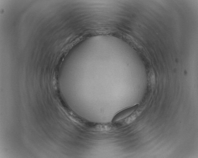 X0000068320764200605192033