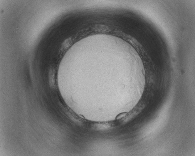 X0000068320765200605192033