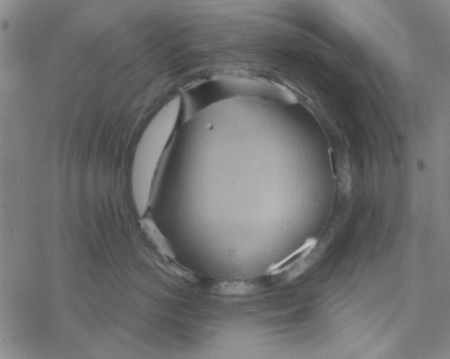 X0000068320766200605192033