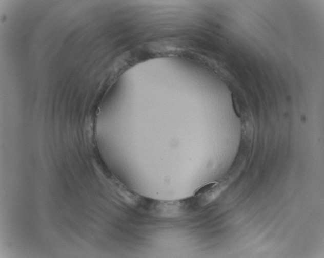 X0000068320767200605192033