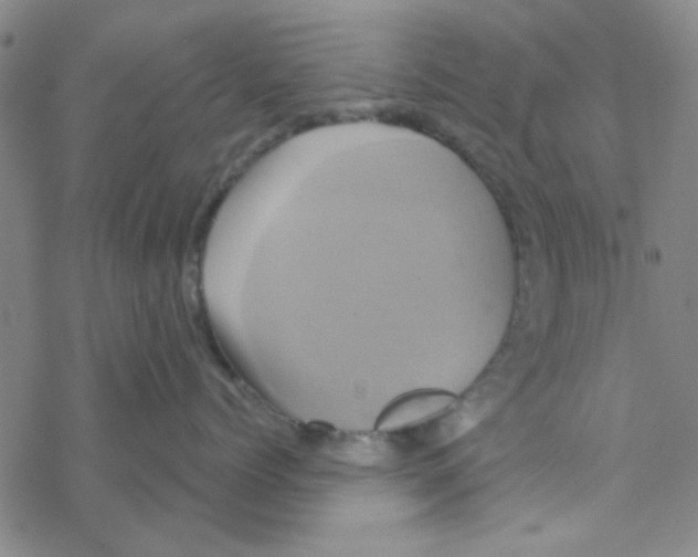 X0000068320768200605192033