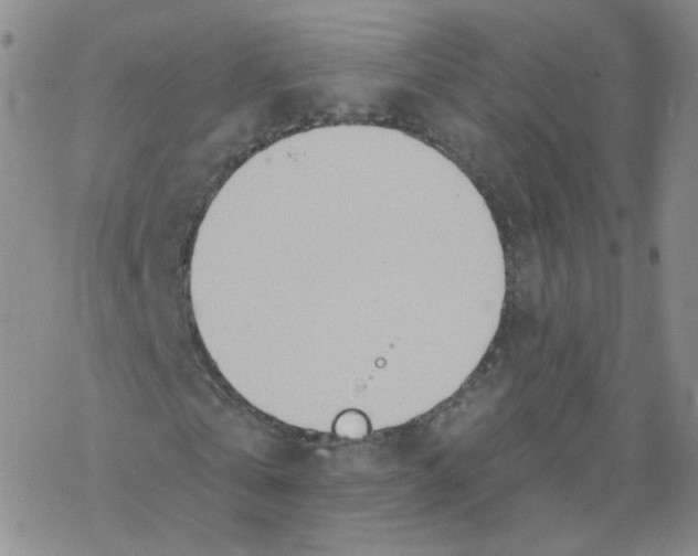 X0000068320769200605192032