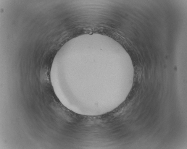 X0000068320770200605192032