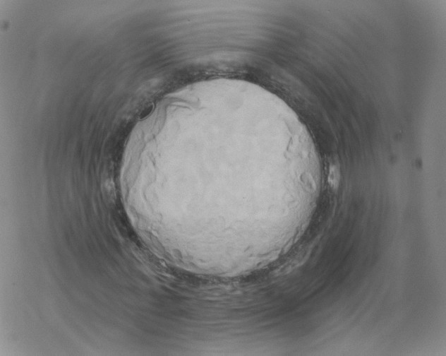 X0000068320771200605192032