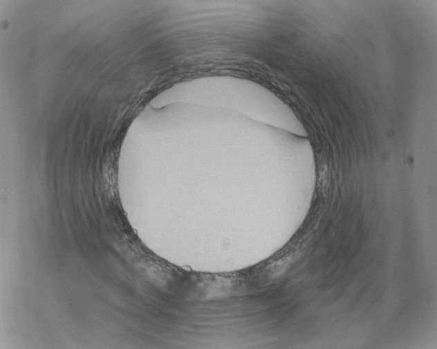 X0000068320772200605192032