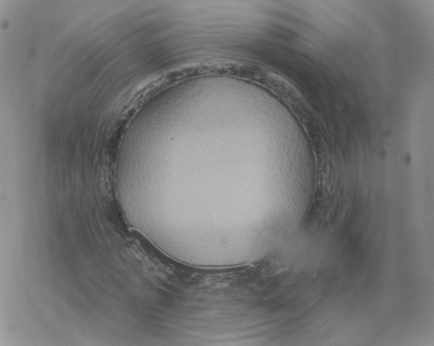 X0000068320773200605192032