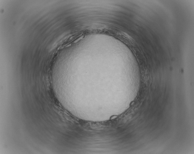 X0000068320774200605192032