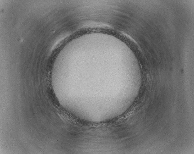 X0000068320775200605192032