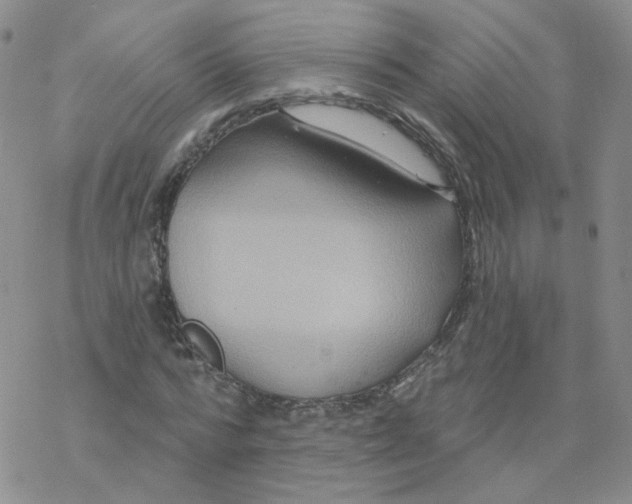 X0000068320776200605192032