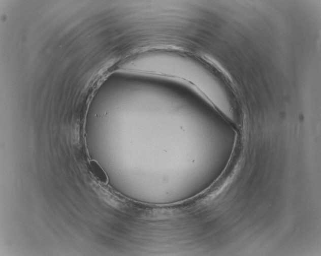 X0000068320777200605192032