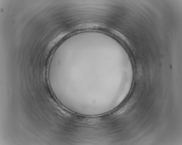 X0000068320778200605192032