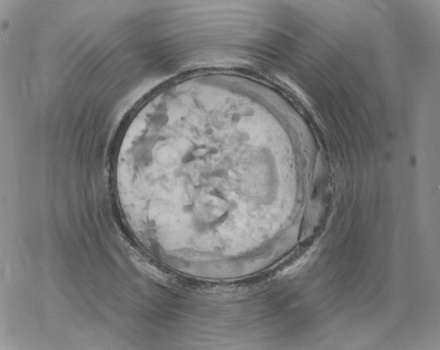 X0000068320779200605192032