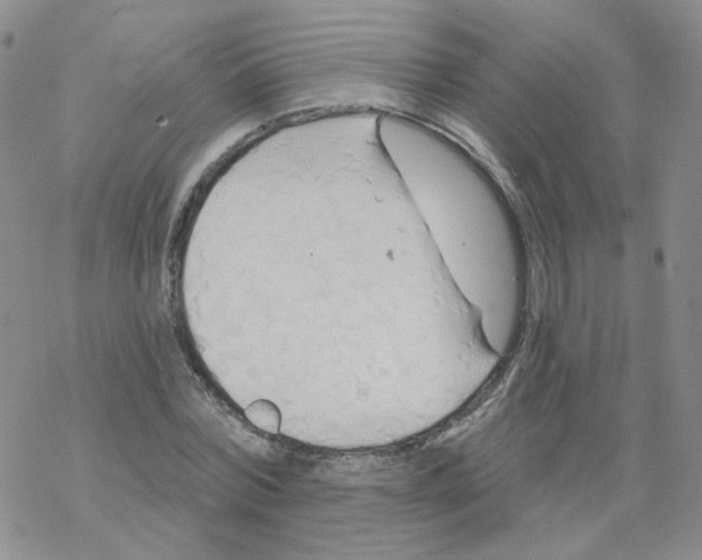 X0000068320780200605192032