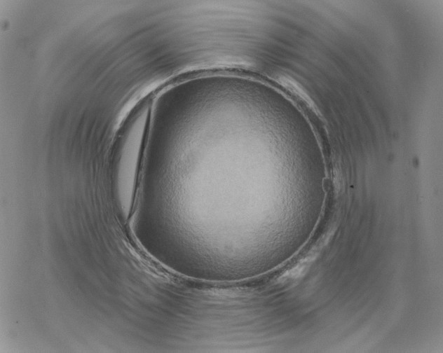 X0000068320781200605192032