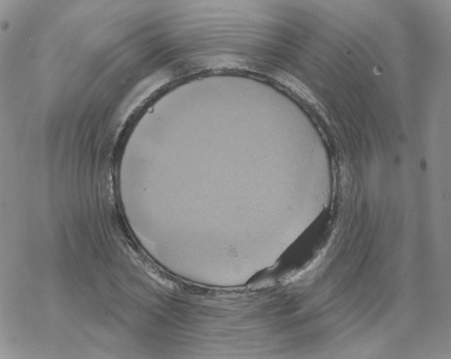 X0000068320782200605192032