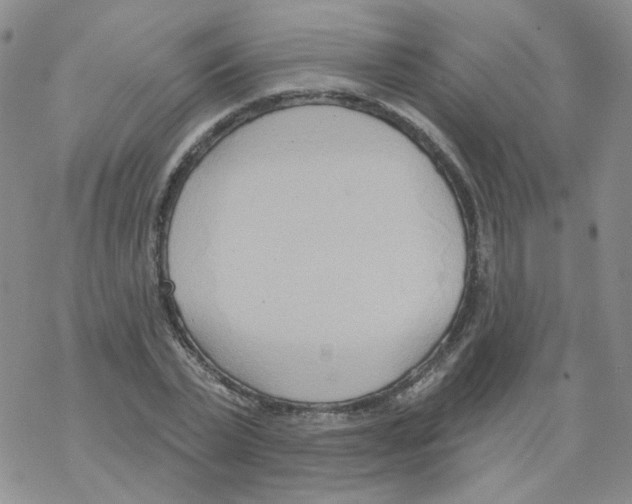 X0000068320783200605192032