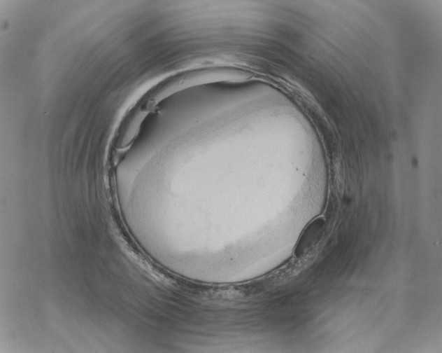 X0000068320784200605192032