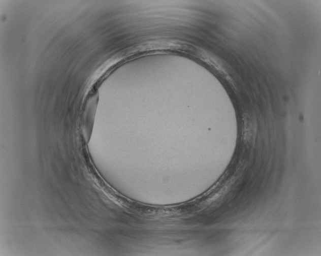 X0000068320786200605192032