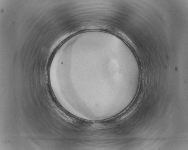 X0000068320787200605192032