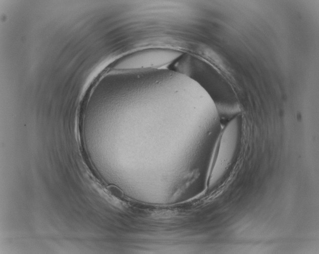 X0000068320788200605192032