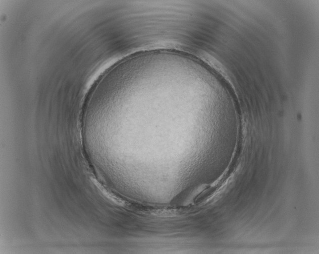 X0000068320789200605192032