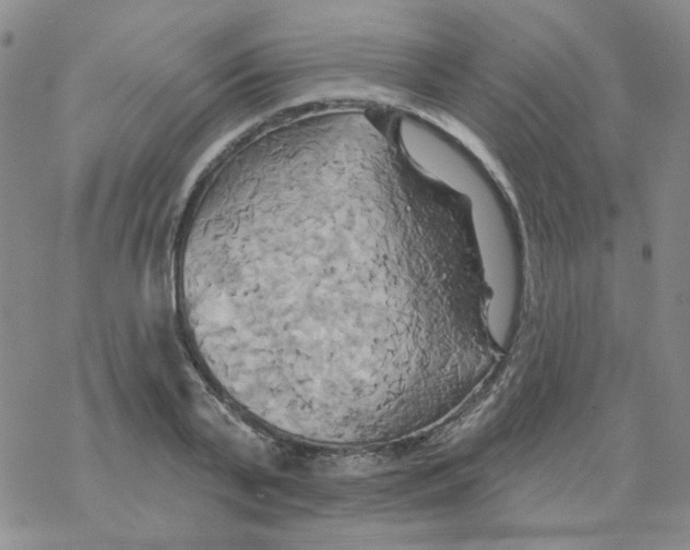 X0000068320791200605192032