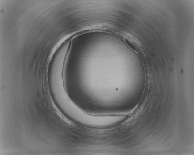 X0000068320792200605192032