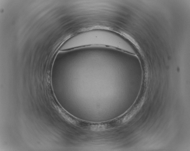 X0000068320793200605192032