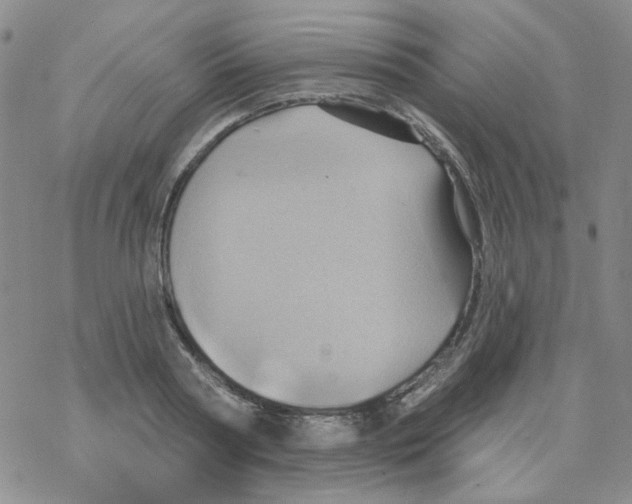 X0000068320794200605192032