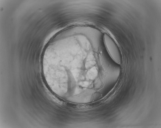 X0000068320795200605192032