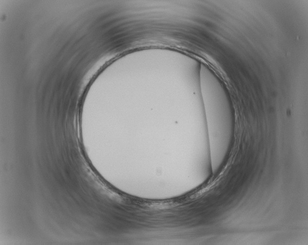 X0000068320796200605192032