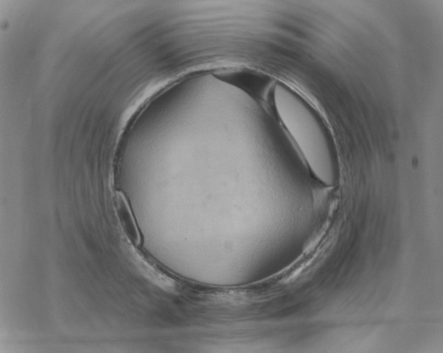 X0000068320797200605192032