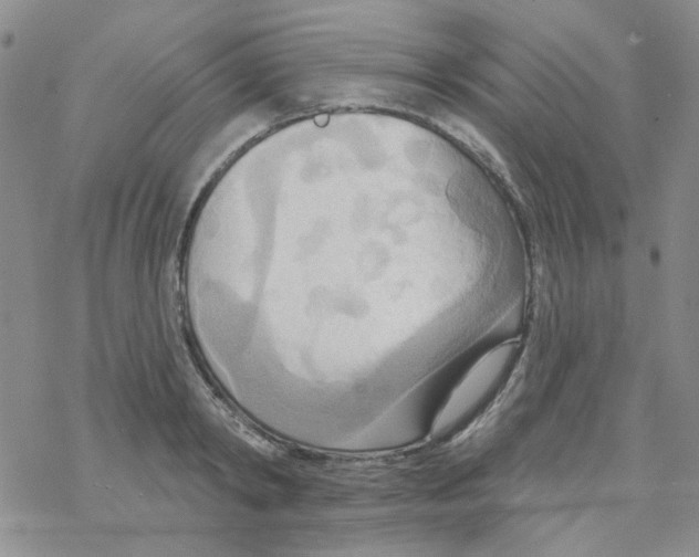 X0000068320798200605192032