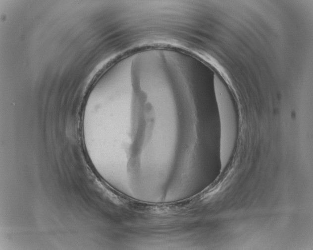 X0000068320799200605192032