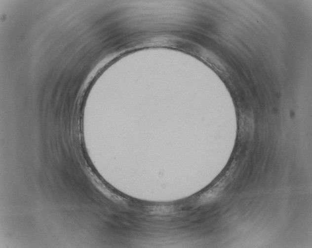 X0000068320800200605192032