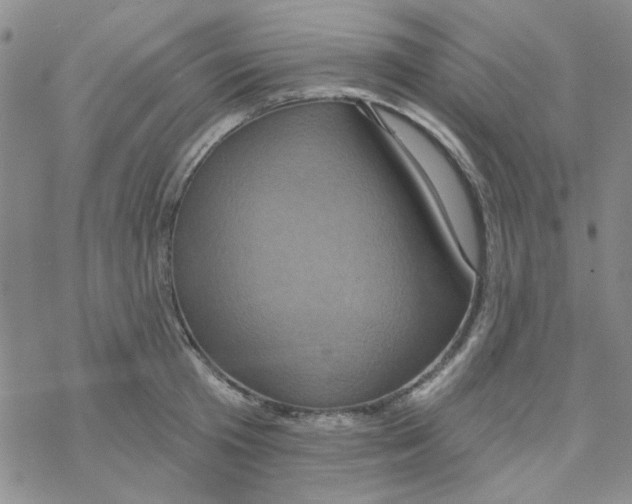 X0000068320801200605192032