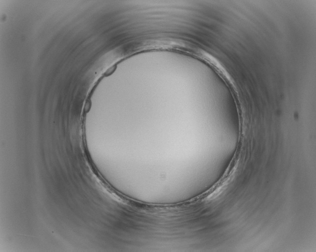 X0000068320802200605192032