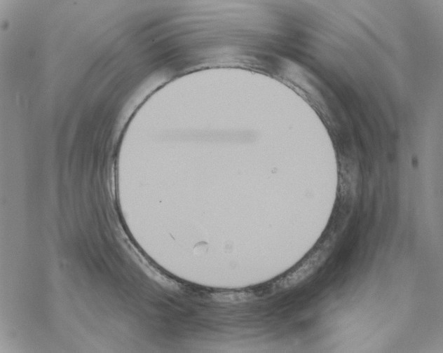 X0000068320804200605192032