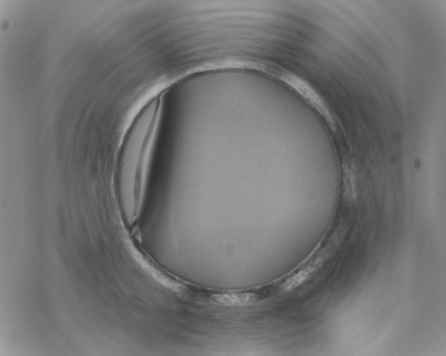 X0000068320805200605192032