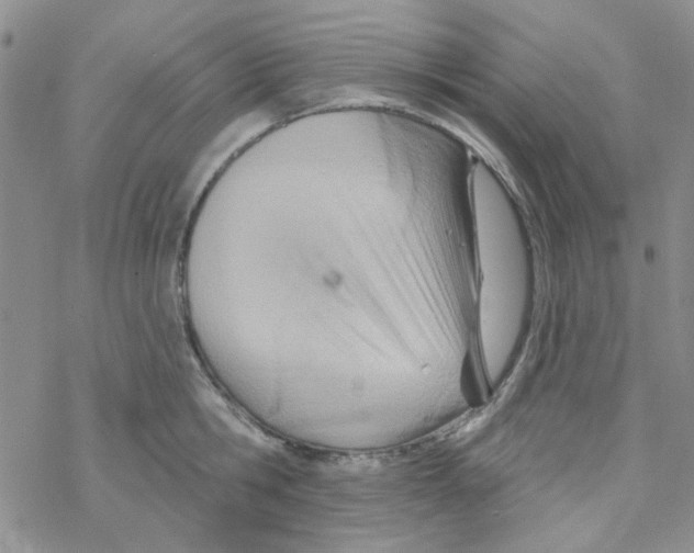 X0000068320806200605192032