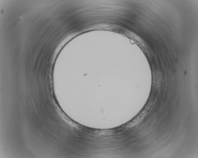 X0000068320808200605192031