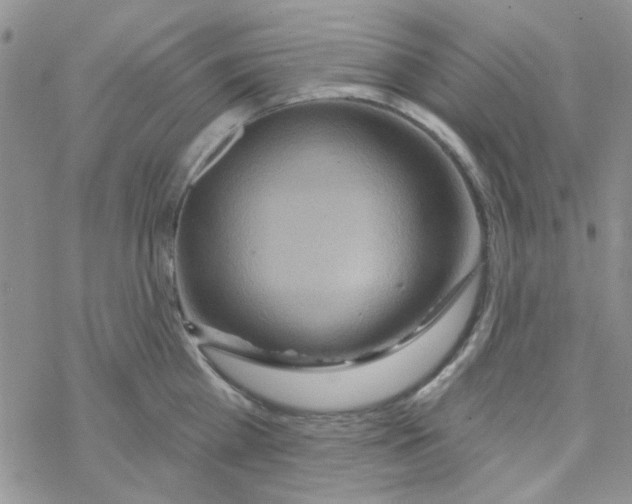 X0000068320809200605192031