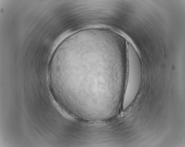 X0000068320811200605192031