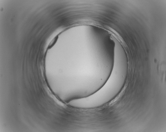 X0000068320812200605192031