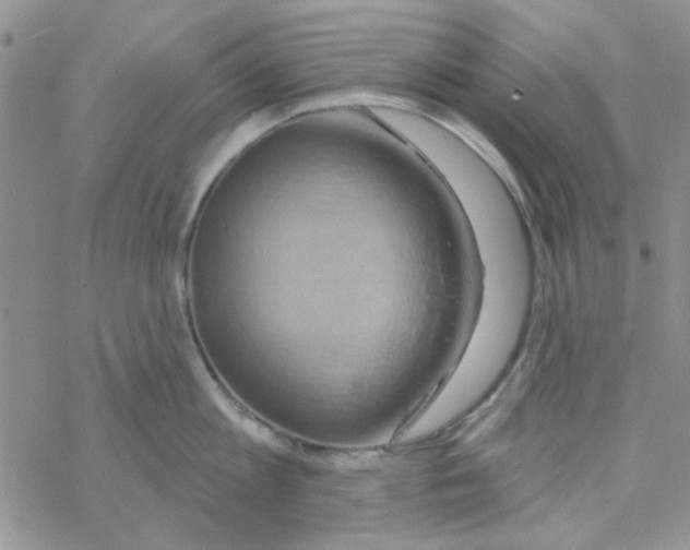 X0000068320813200605192031